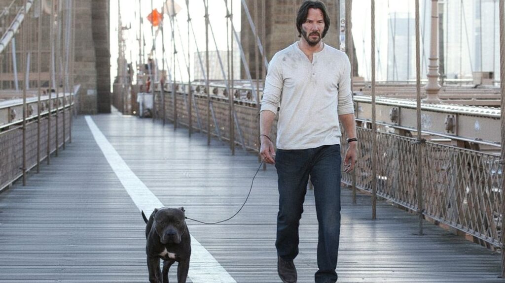 Why Millions Respect Keanu Reeves Not Just as an Actor but as a Kind Human ❤️